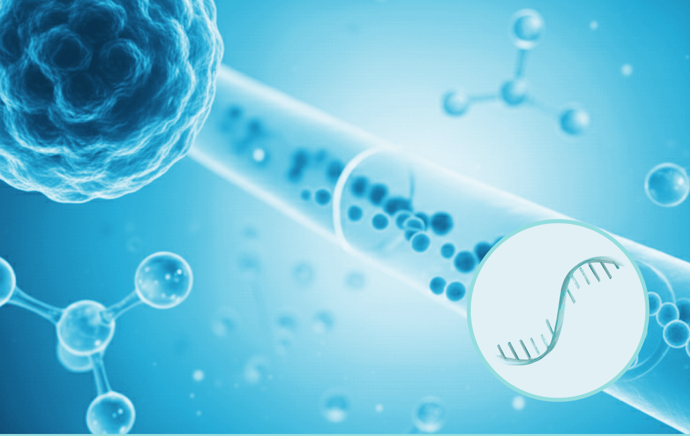 マイクロRNAの仕組みの説明図